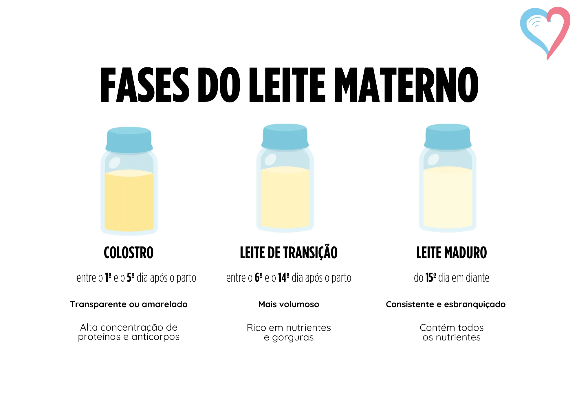 Fases do leite materno Conexão Materna Canguçu RS