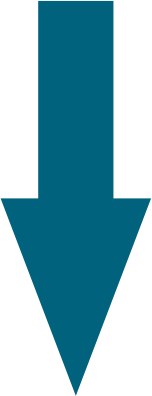 seta