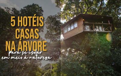 5 Hotéis Casas na Árvore