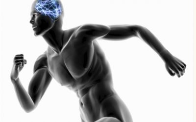 Seu cérebro no exercício: a neurociência por trás de um bom treino