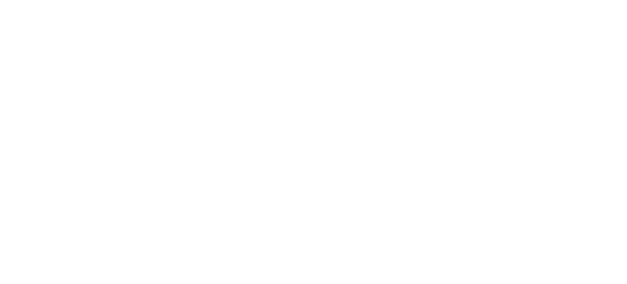 Franquia Açai Concept Logo Mini 4