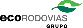 Logotipo da empresa Ecorodovias. O nome “Ecorodovias” está escrito nas cores preta e cinza. Acima há uma ilustração de folhas de arvore na cor verde.