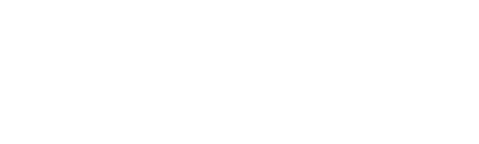logo_fcvb---Horizontal---negativo