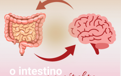 O Intestino e o Cérebro