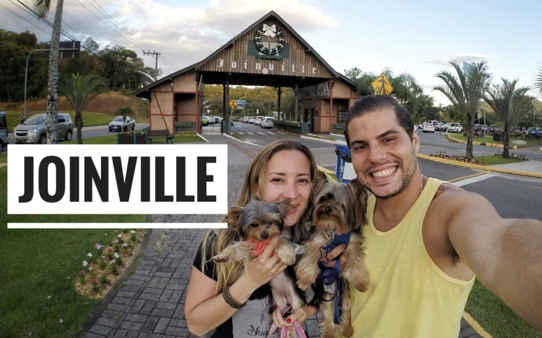 Viagem Petfriendly: Joinville/SC