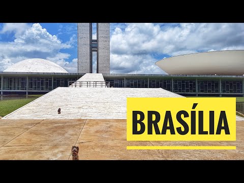 Viagem Petfriendly: Brasília/DF