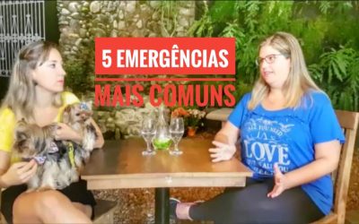 5 Emergências + Comuns com Cachorros