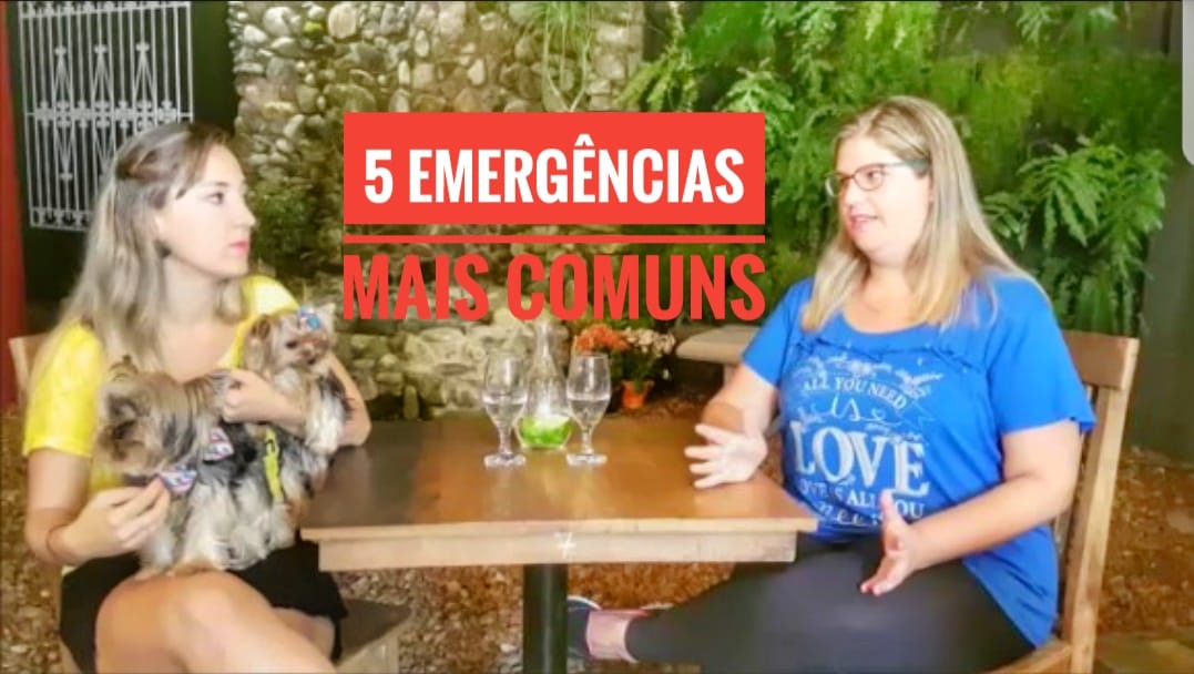 5 Emergências + Comuns com Cachorros