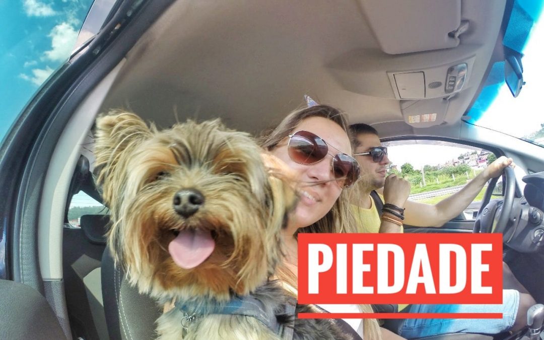 Viagem Petfriendly: Piedade/SP