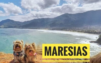 Viagem Petfriendly: Maresias/SP