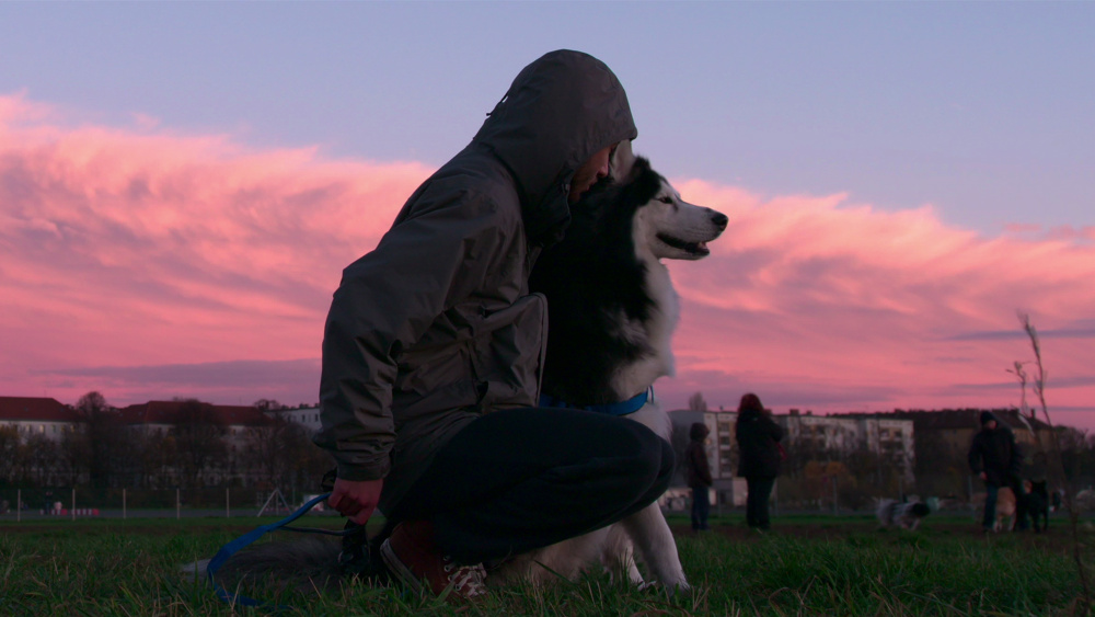 “Dogs”: nova série documental do Netflix