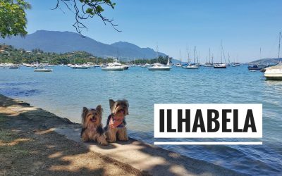 Viagem Petfriendly: Ilhabela/SP