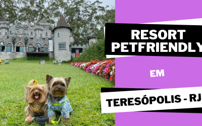 Viagem PetFriendly: Teresópolis/RJ