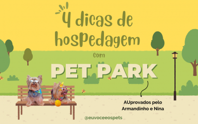 Conheça 4 hospedagens com Pet Park