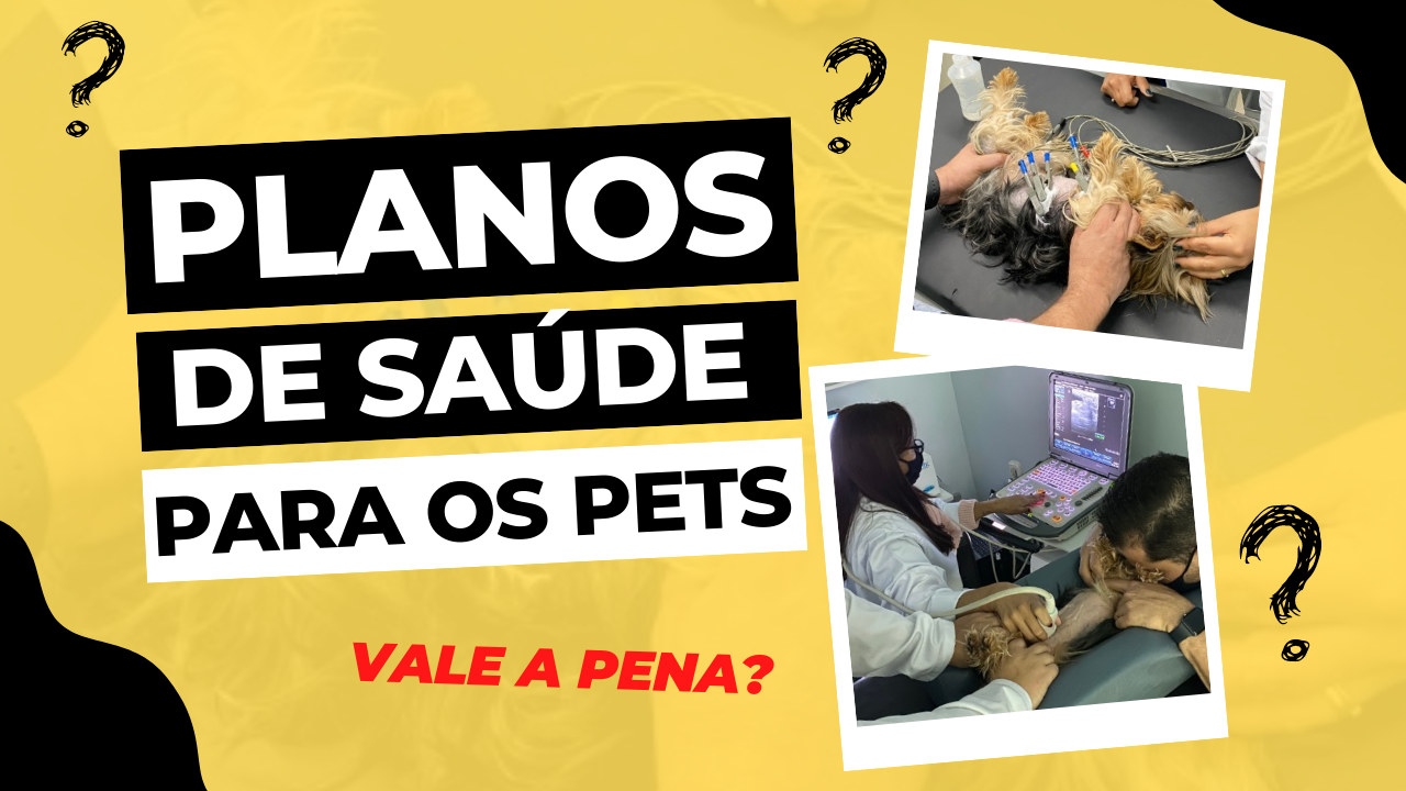 Pet shop banho e tosa perto de mim: conheça as Lojas Petlove