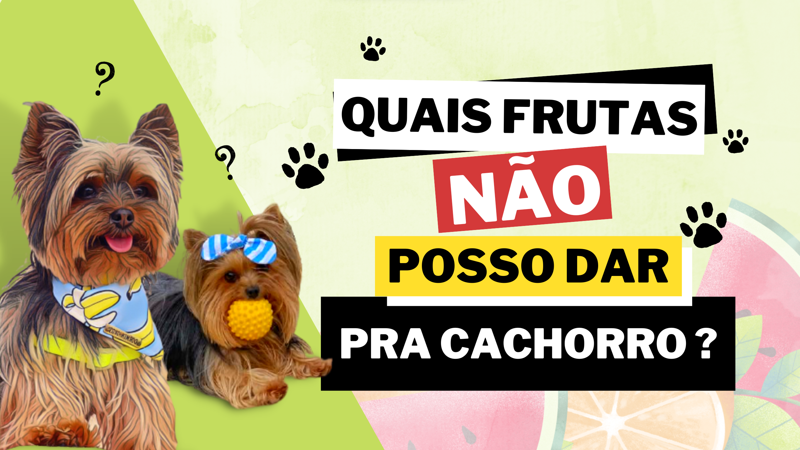 Por que não podemos levar cães pros Estados Unidos? - Charada e