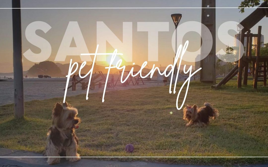 Santos: Um destino Pet Friendly!