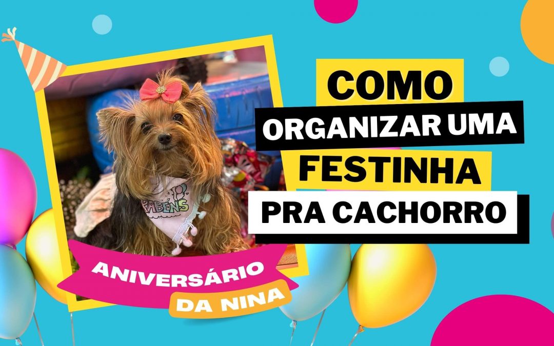 5 dicas para organizar uma festa de aniversário para cachorros