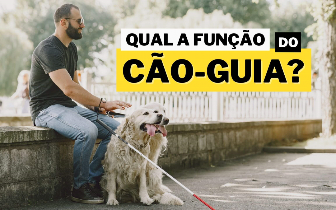 Na imagem podemos ver um homem com deficiência visual sentado na companhia de dois cachorros e a mensagem escrita: Qual a função do Cão-Guia?