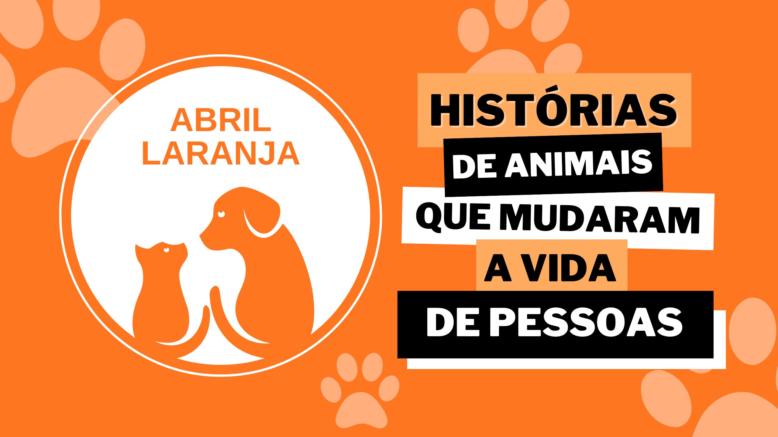 Campanha De Macacos Fofos Para Amar Seu Animal De Estimação