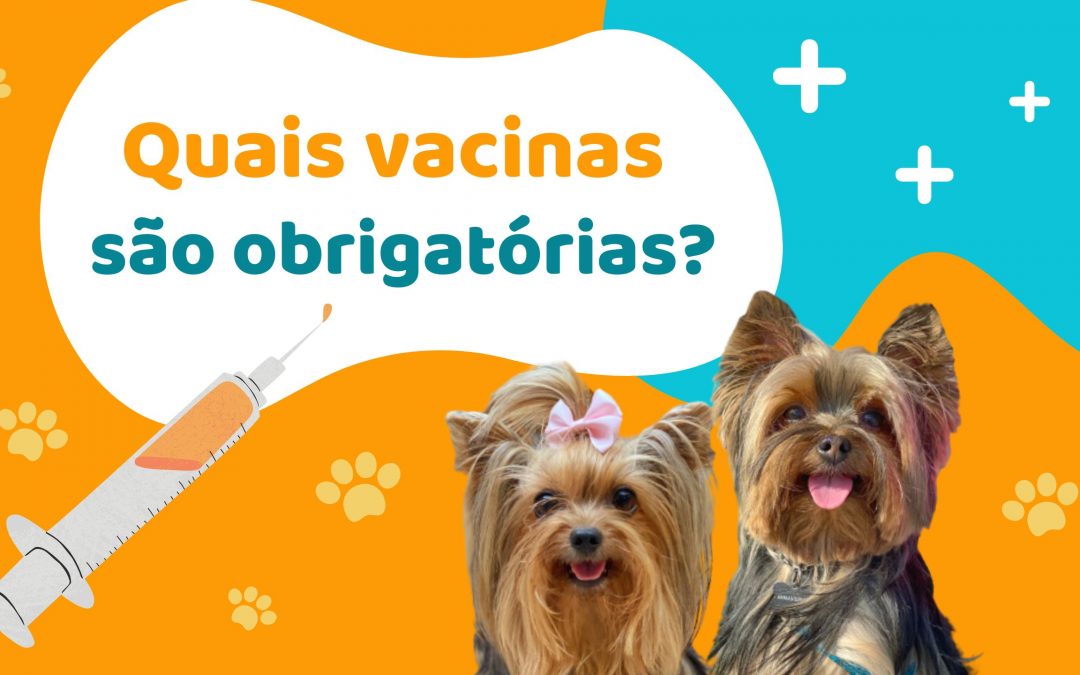 Dia da imunização: esclarecemos 7 dúvidas sobre vacinas para cães