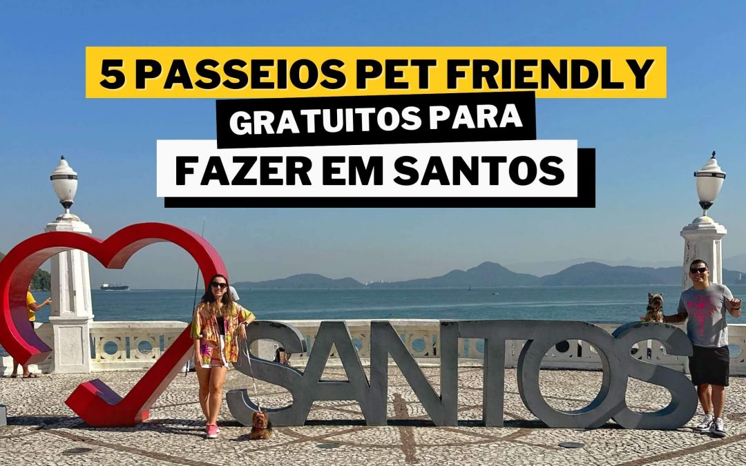O que fazer com PET em Santos?