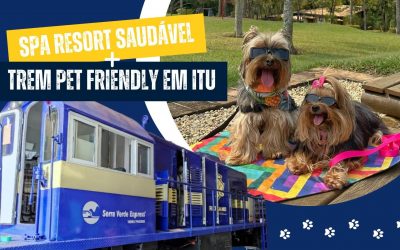 SPA & Resort Saudável e trem pet friendly em Itu – Diário de Viagem