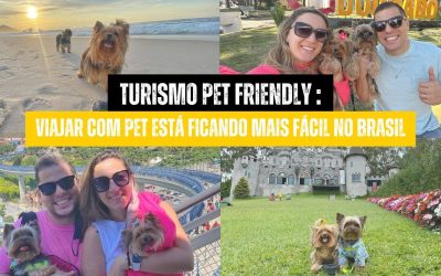Turismo Pet Friendly: viajar com pet está ficando cada vez mais fácil no Brasil