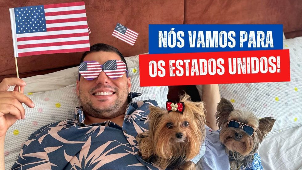 Passo A Passo Para Levar Os Cachorros Para Os Estados Unidos - Eu, Você ...