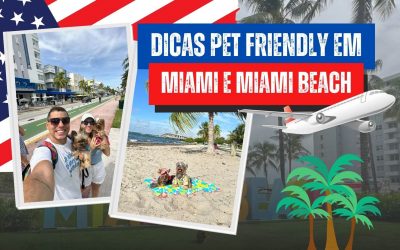 Roteiro PetFriendly em Miami e Miami Beach – Diário de Viagem