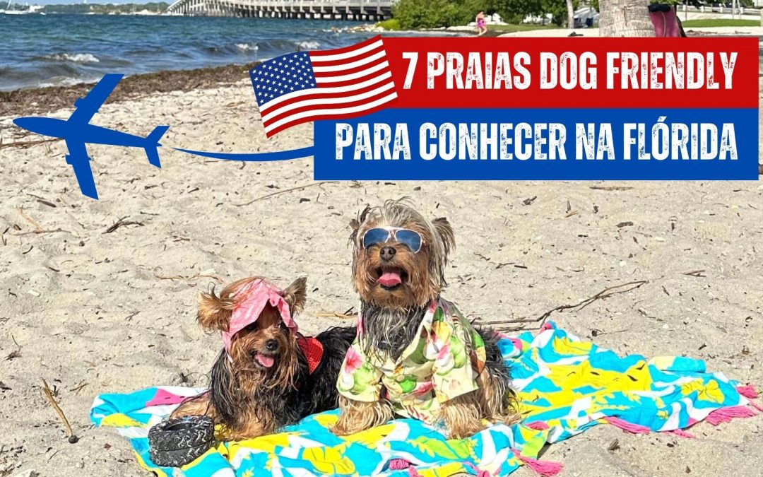 7 praias Dog Friendly pela Flórida – Estados Unidos