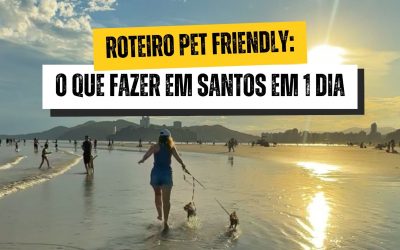 Dica de roteiro: O que fazer em 1 dia em Santos com seu Pet