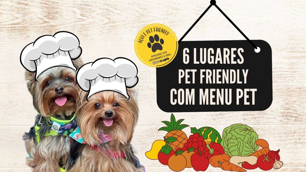 Conheça 6 lugares pet friendly com menu pet - Eu, Você e os Pets