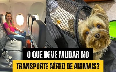 Caso Joca: repercussão e mudanças no transporte aéreo de animais