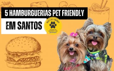 5 hamburguerias pet friendly em Santos