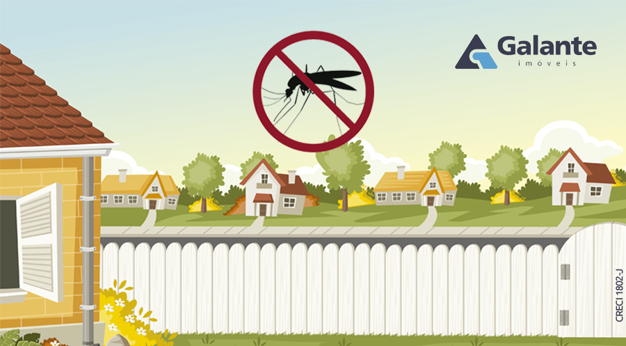 Dicas para evitar o risco de dengue em sua casa