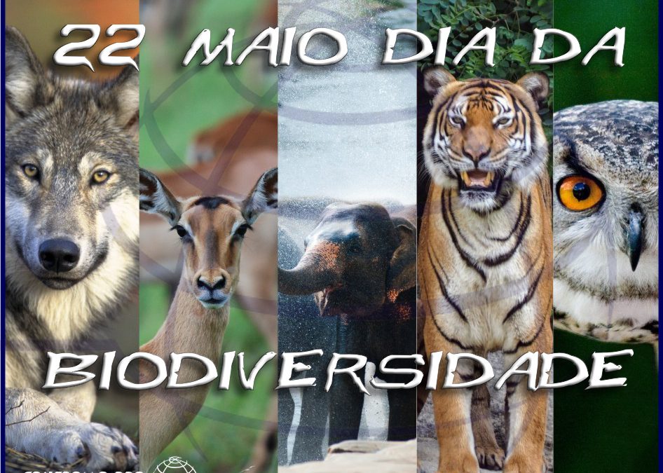 22 de Maio – Dia da Biodiversidade